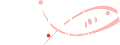 Koishi Restaurant & Sushi Bar